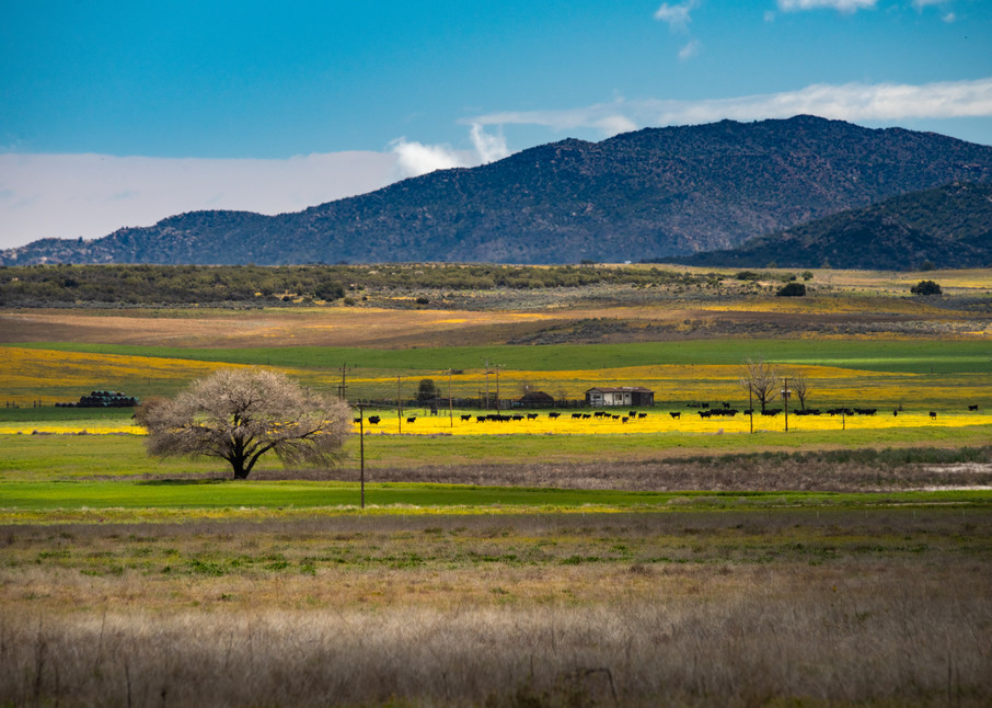 Meadows and Mountains is a fine art photograph available for sale.