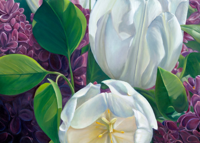 Tulips And Lilacs  Art | chrisabigtart