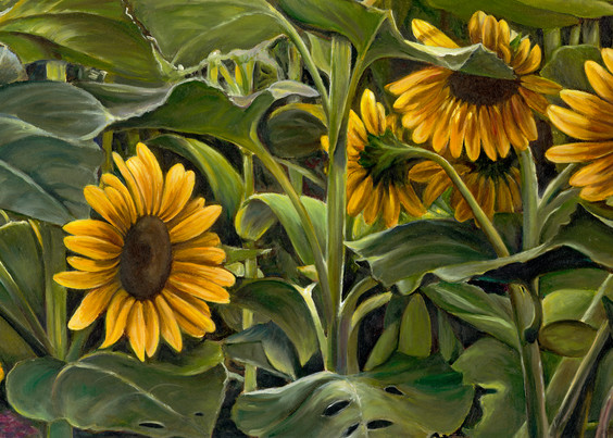Sunflower Field Art | chrisabigtart