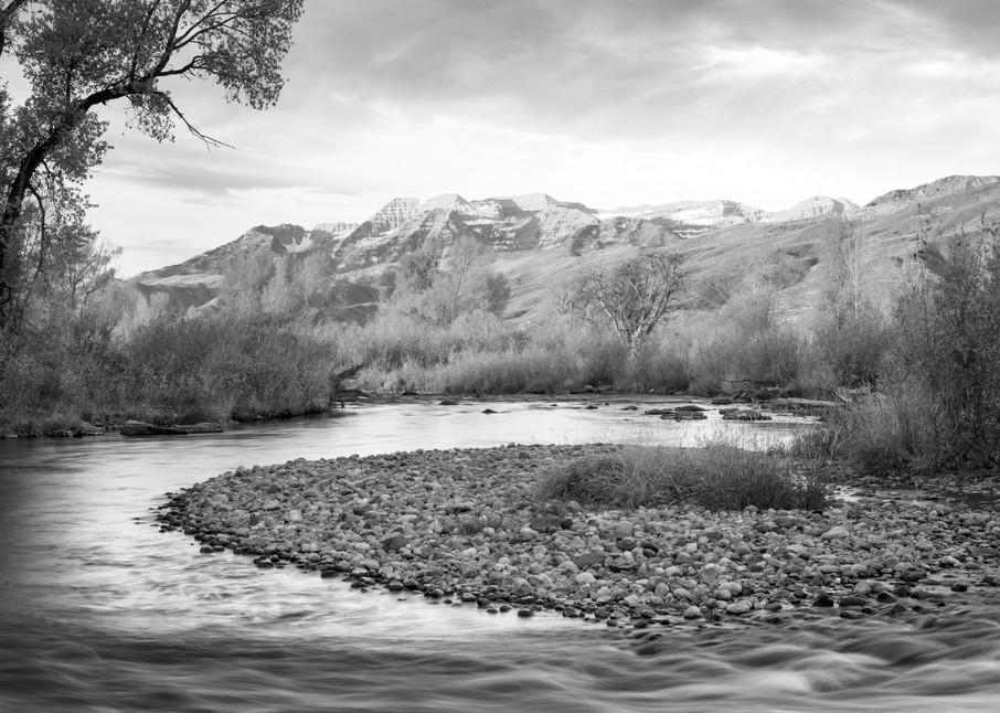 golden glow at the provo river black and white
