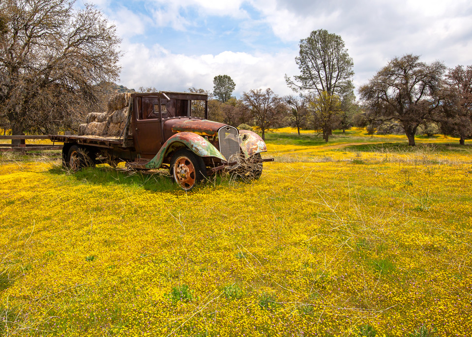 Flatbed Floral Meadow Photography Art | Josh Kimball Photography