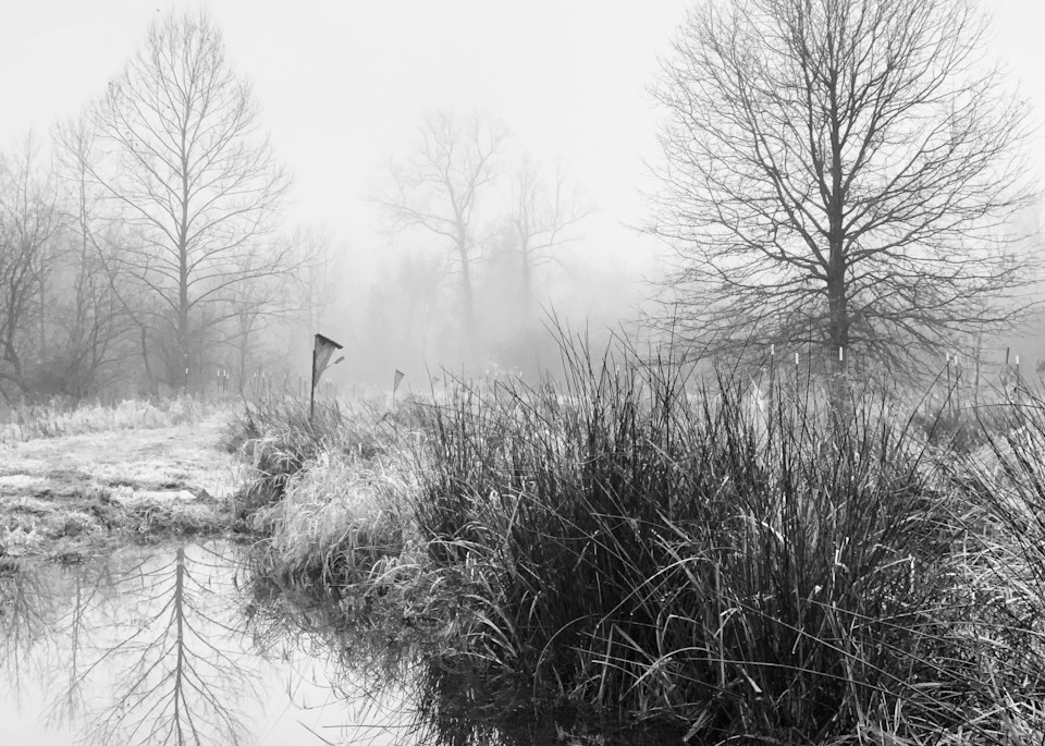 Birdhouse In Fog Photography Art | Roman Coia Photographer
