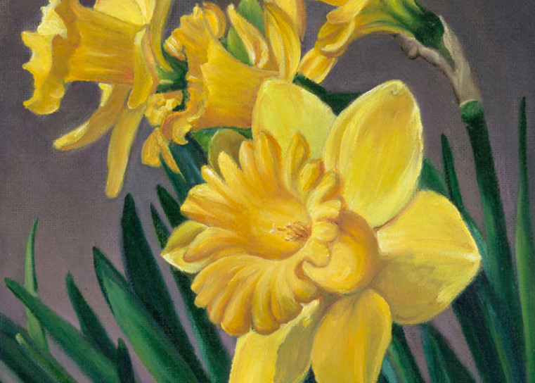 Daffodils Art | chrisabigtart