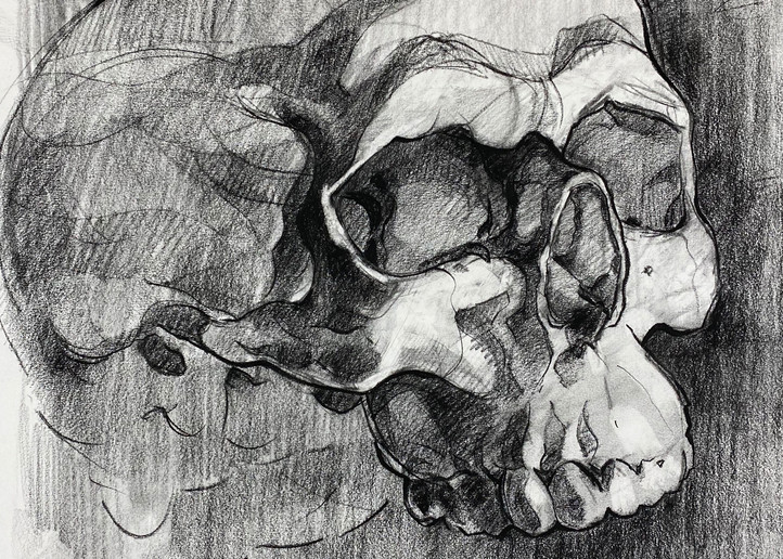 Skull V.9 Art | Matt Pierson Artworks