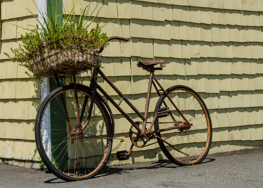 Basket plant bike