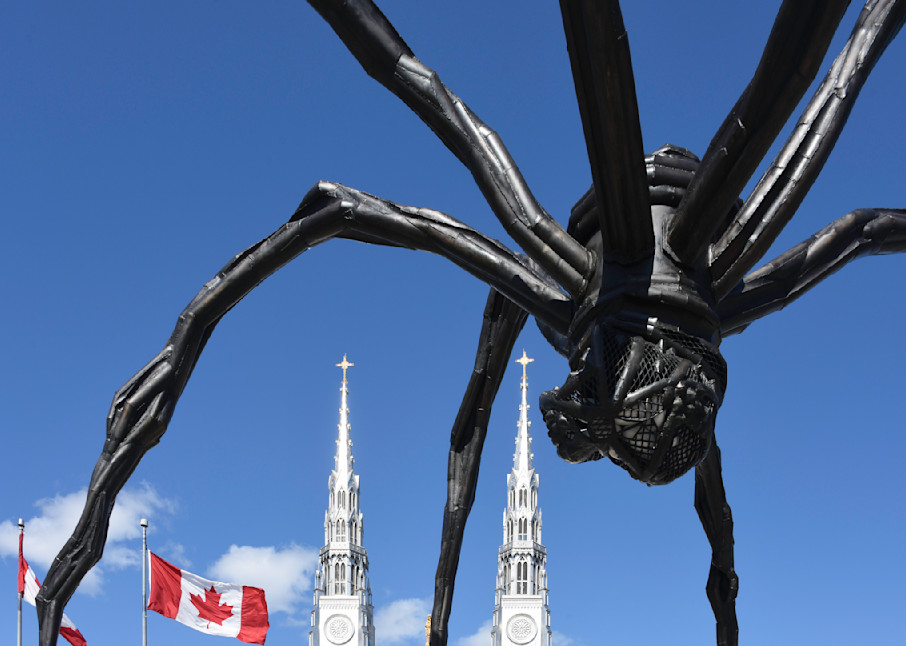 Ottawa spider