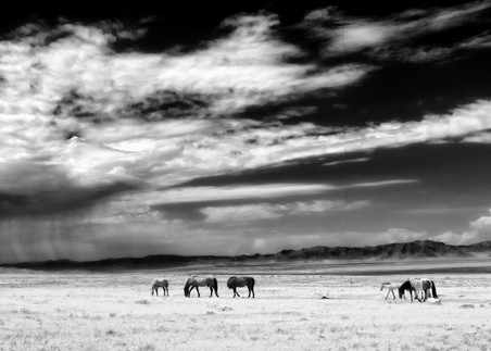 On The Desert Photography Art | BRosenleaf Art