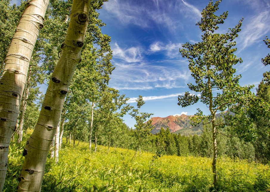 Aspen Mountains  6814 C S19  Photography Art | Koral Martin Healthcare Art