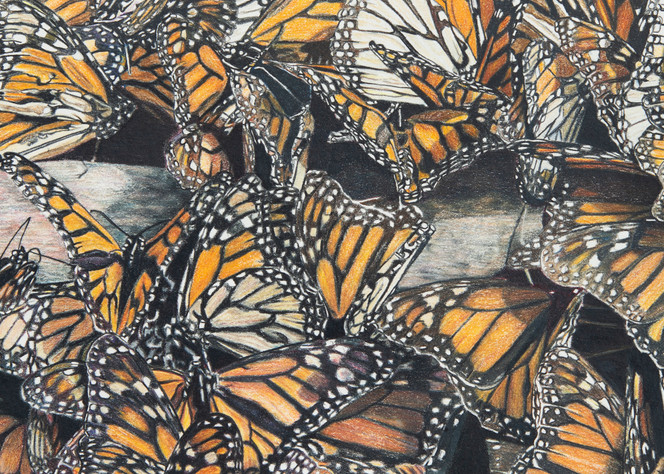 The Butterfly Effect Art | Sherry Lamb Fine Art