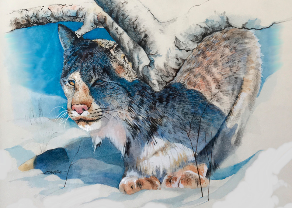 Lynx  Art | MANTHA DESIGN