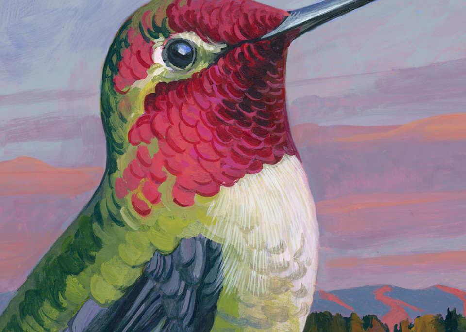 Anna's Hummingbird Portrait Art | Studio Girard