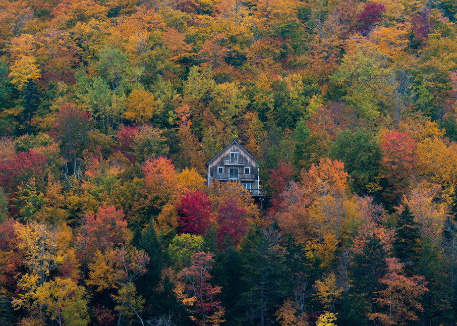 Autumn In Maine Photography Art | Jesse MacDonald Photography