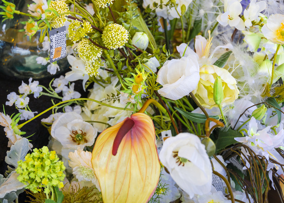 Dutch Countryside Flower market photography | Eugene L Brill