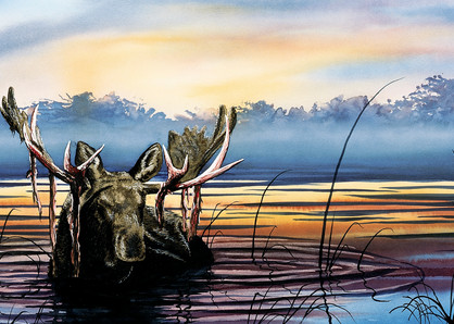 Lake Snoozin' Moose Art Print of life in Yellowstone Park by Joe Ziolkowski