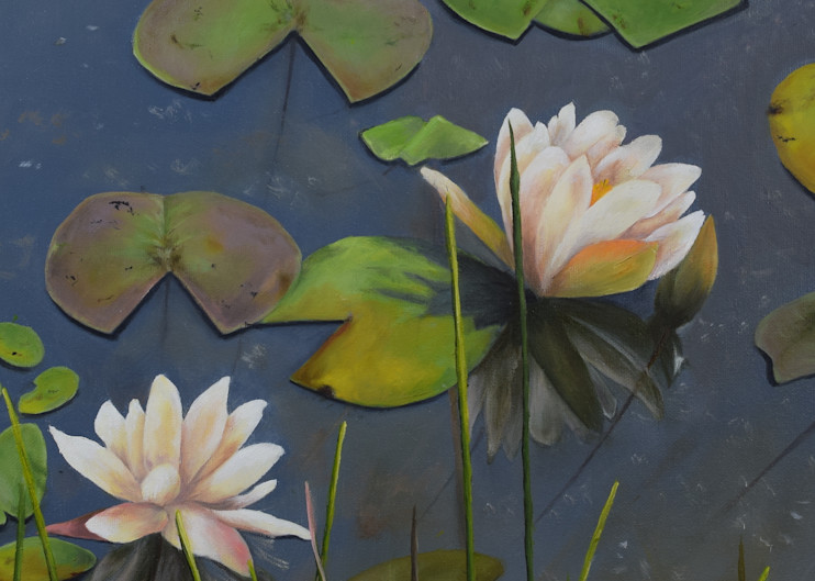 Waterlilies Art | Debra Davis Fine Art