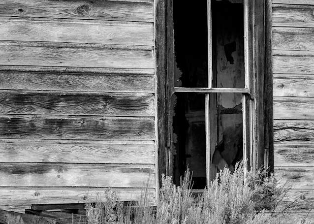 Window of an Old House, Alstown, Washington, 2013