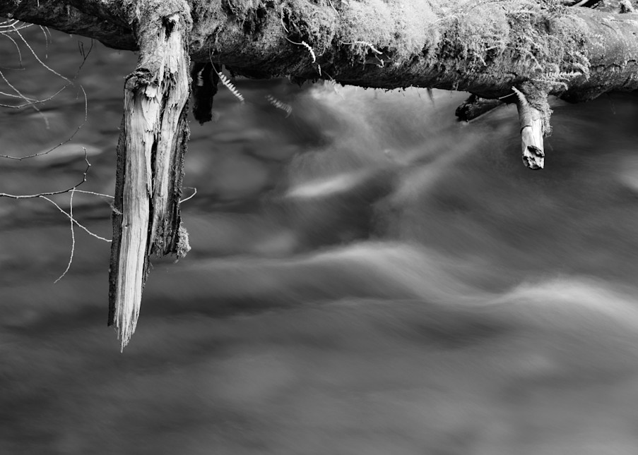 Lyre River No. 9, Olympic Peninsula, Washington, 2013