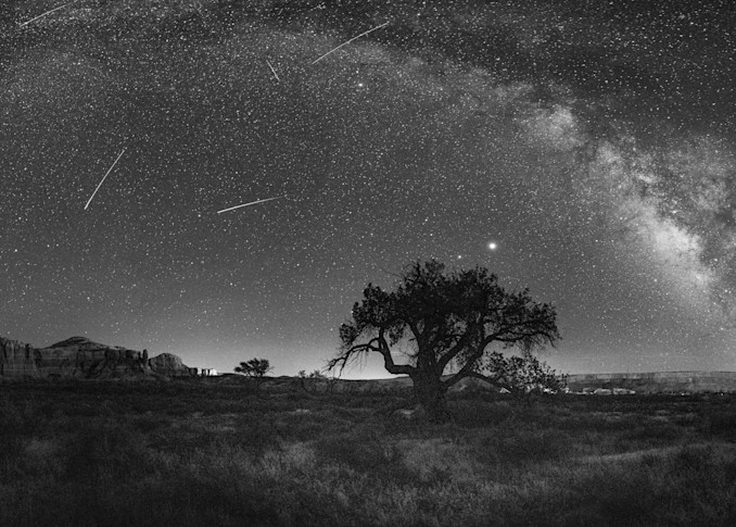 Milky Way Over The Hanging Tree Photography Art | John Gregor Photography
