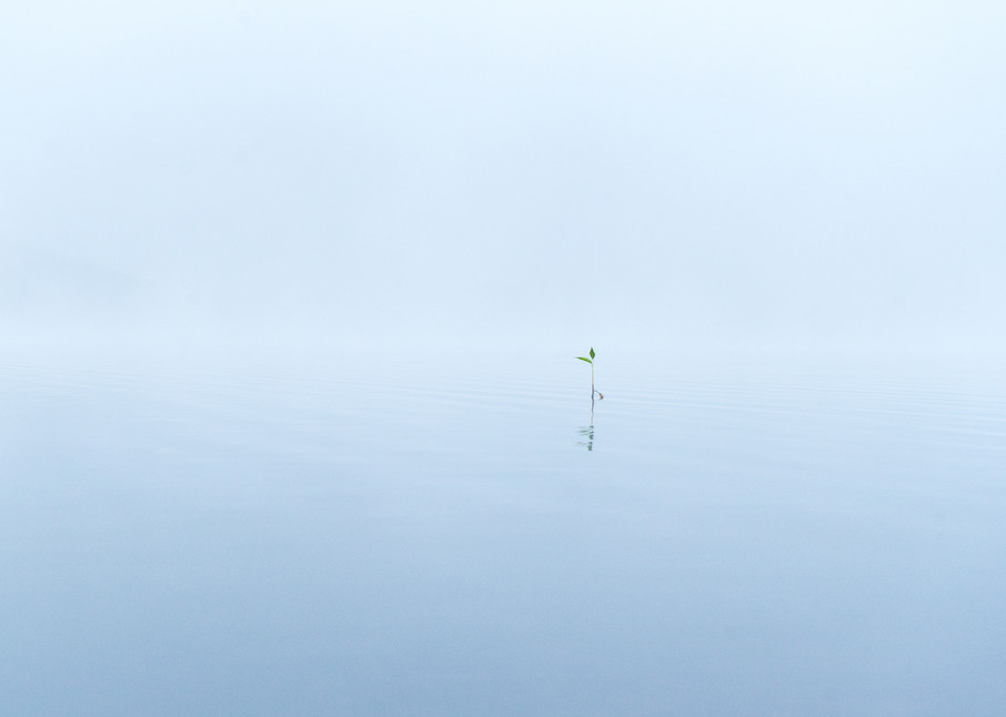 Tranquility - early morning long exposure on water in Northern California photograph print