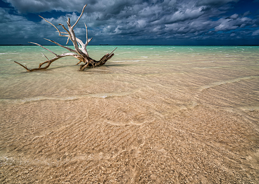 Driftwood Before the Storm | Seascapes Collection | CBParkerPhoto Art