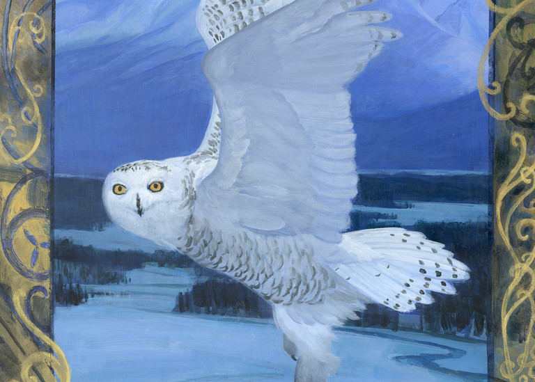 Snowy Owl Art | Studio Girard