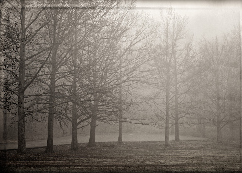 Foggy Morning Photography Art | David Frank Photography