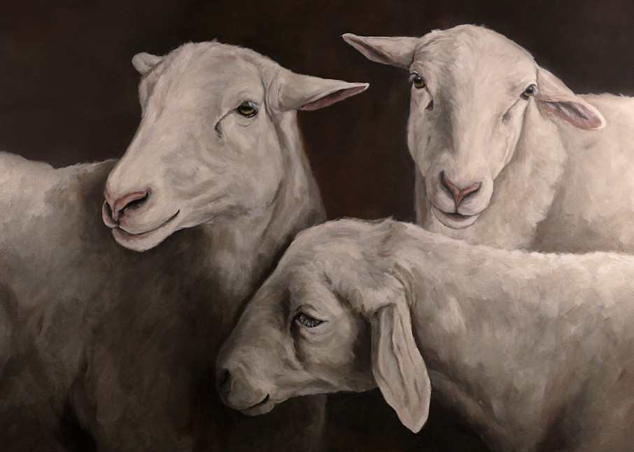 Painting of three sheep