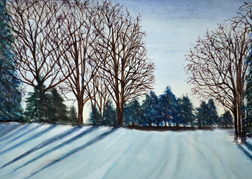 Shadows Through The Trees  Art | Sharon Bacal - Fine Art