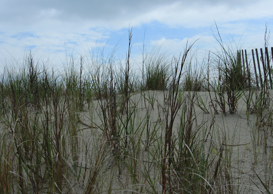 Dunes With Sea Grass Photography Art | Gary Mullane Photography
