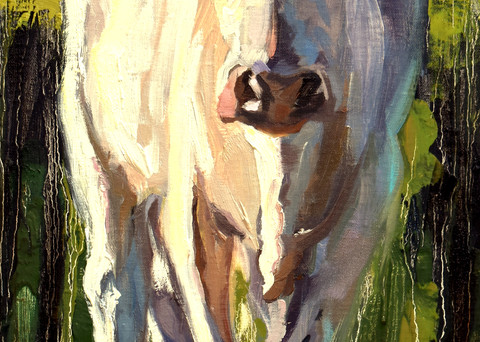 Bull Calf  Art | robincaspari