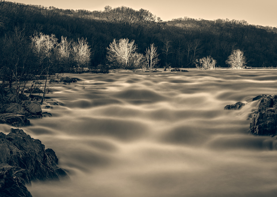 Nature Bw 7737 Photography Art | Dan Chung Fine Art