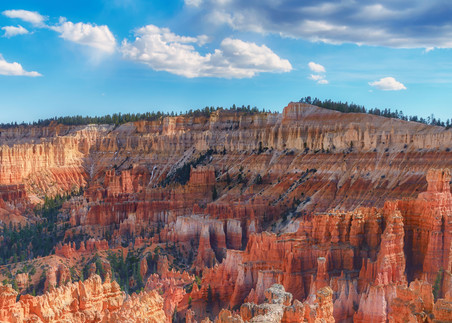 A View of Bryce | Jarrod Ames Photography