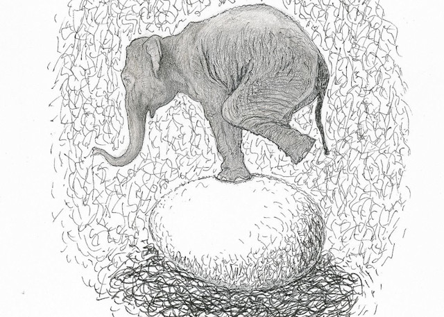 Elephant On Eggshell Art | Digital Arts Studio / Fine Art Marketplace