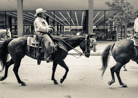 A group of horse riders on the street of Washington DC, captured on a panoramic camera.