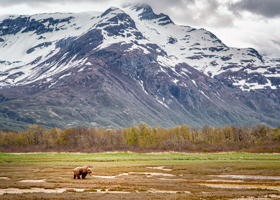 Wild Alaska Photography Art | Carol Brooks Parker Fine Art Photography