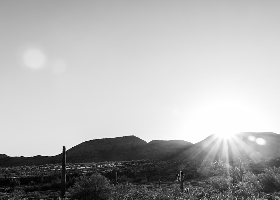 Desert Sunset Photography Art | Spry Gallery