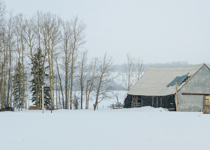 Salmon Valley Winter | Terrill Bodner Photographic Art
