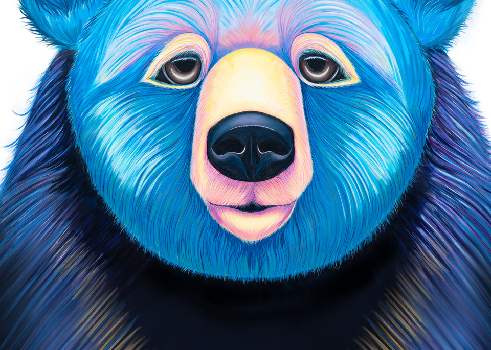animals Asia bear print mural