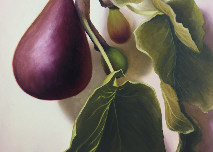 Fig Tree Beauty Art | Gema Lopez Fine Arts