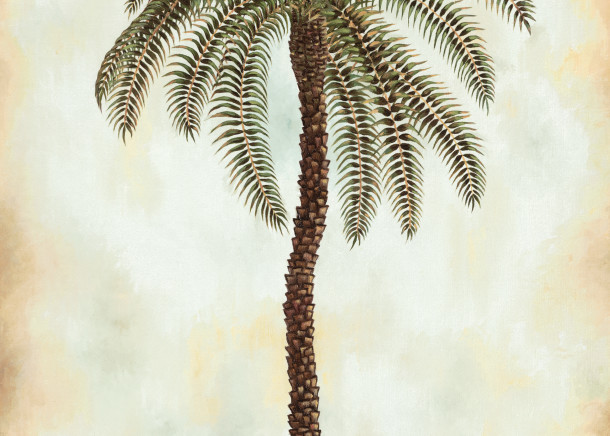Cheetah And Palm   Prints Art | Mercedes Fine Art