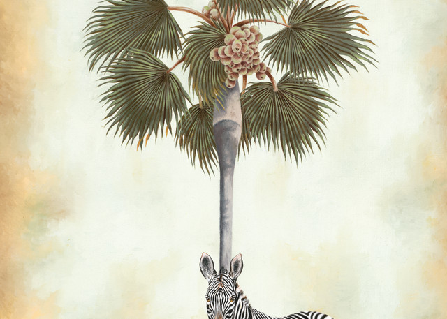Zebra And Palm   Prints Art | Mercedes Fine Art