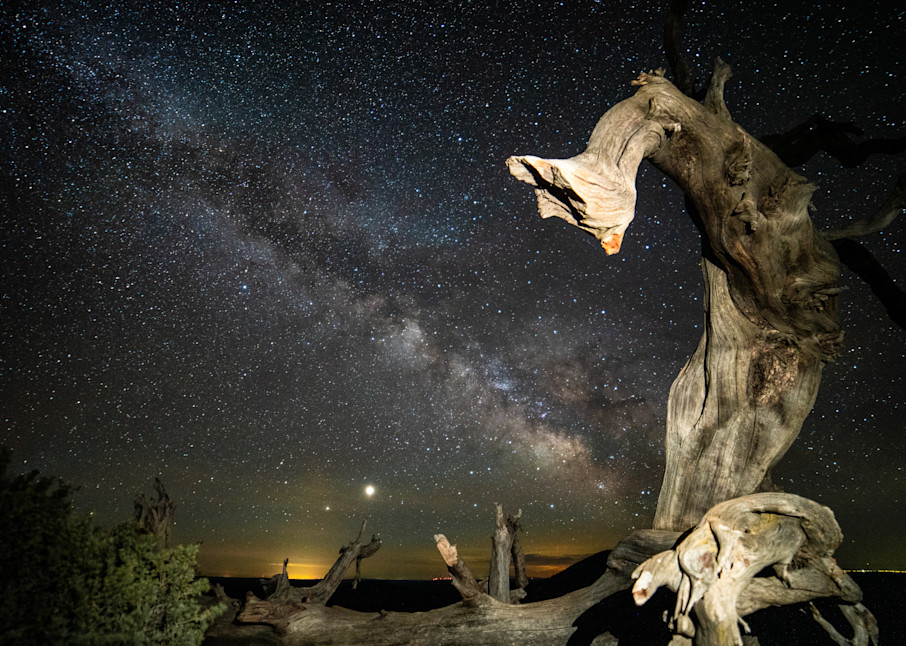 Milky Way Through Lightning Struck Tree Photography Art | Christopher Scott Photography