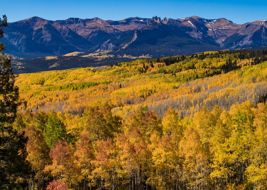 Fall Color In Colorado Photography Art | Kirk Fry Photography, LLC