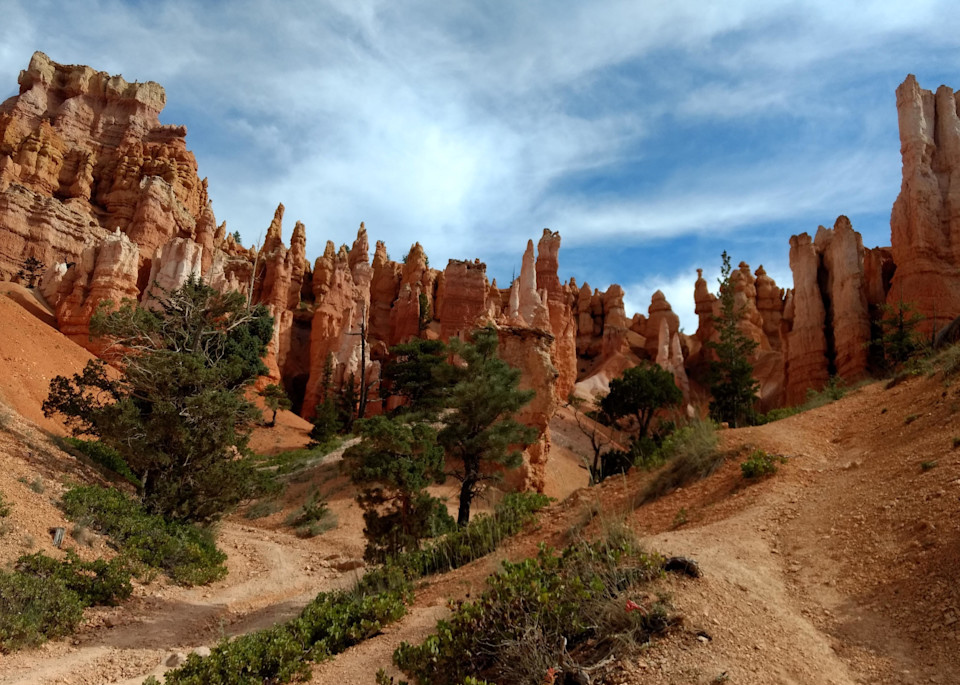 Bryce Canyon View From The Floor Photography Art | Christopher Scott Photography