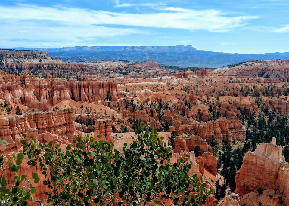 Bryce Canyon View From The Rim Photography Art | Christopher Scott Photography