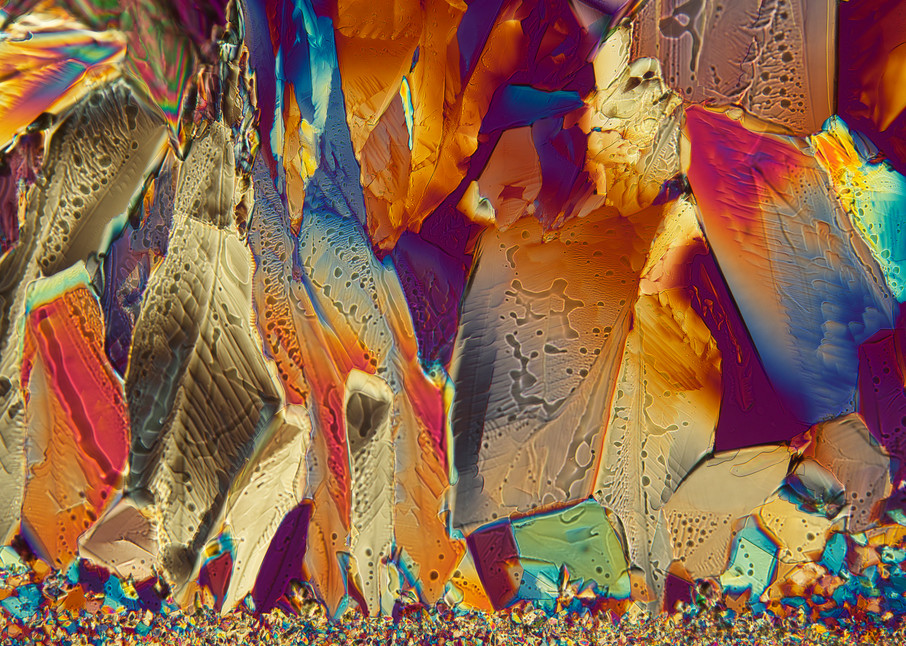 Crystal Rock Garden (Adipic Acid Crystals) Art | Carol Roullard Art