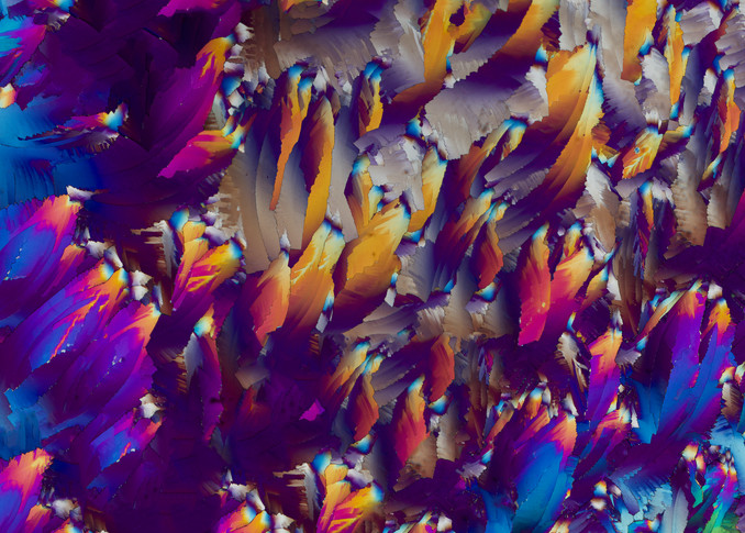Wind Flower (Urea Crystals) Art | Carol Roullard Art