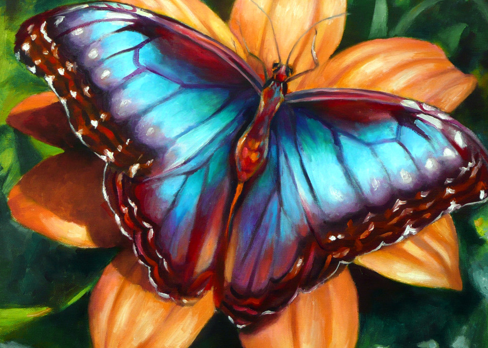Blue Morpho Butterfly Art | Nancy Tilles