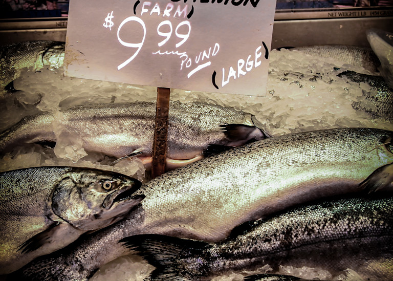 Salmon For Sale Photography Art | martinalpert.com