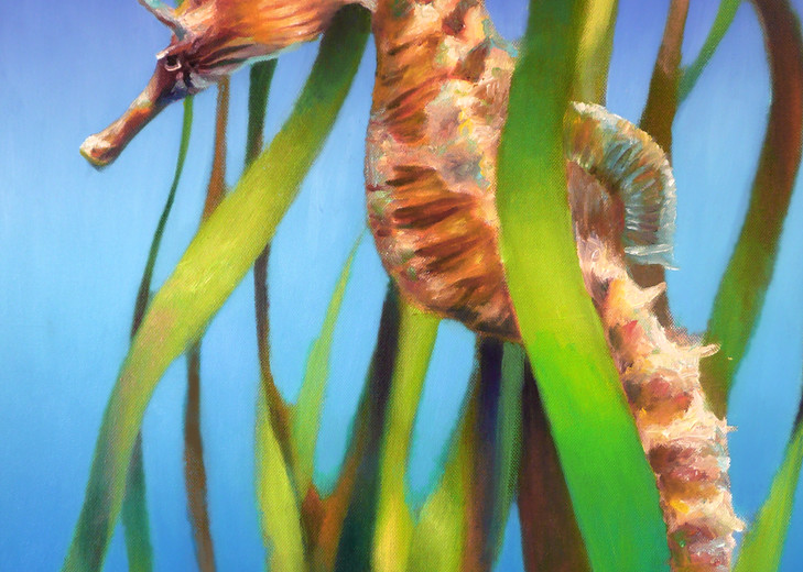 Sea Horse In The Reeds Art | Nancy Tilles